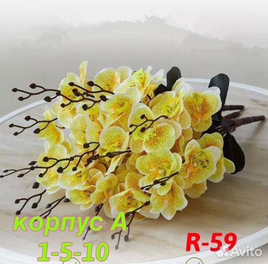 Дендробиум