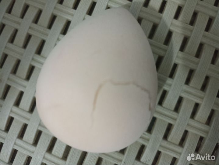 Спонж для макияжа