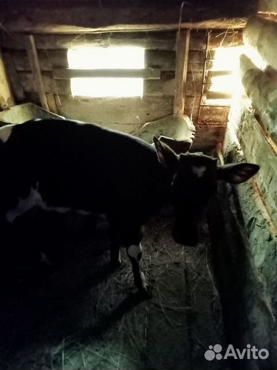 Частное лицо