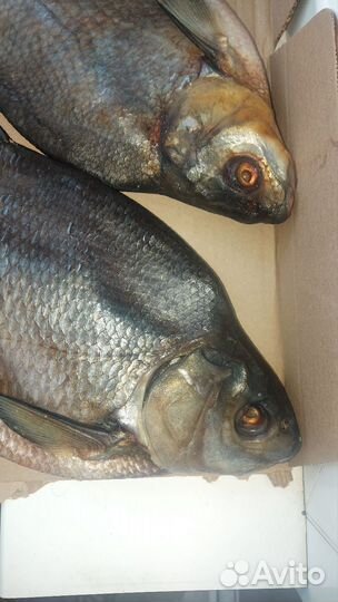 Рыба лещ сухого посола