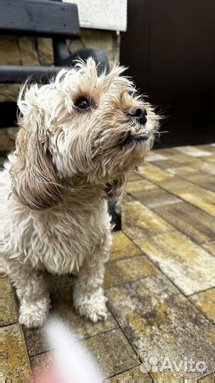 Прочная Тротуарная Плитка от 120 м2