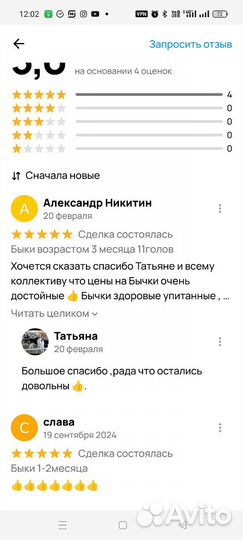 Быки 1-3месяца