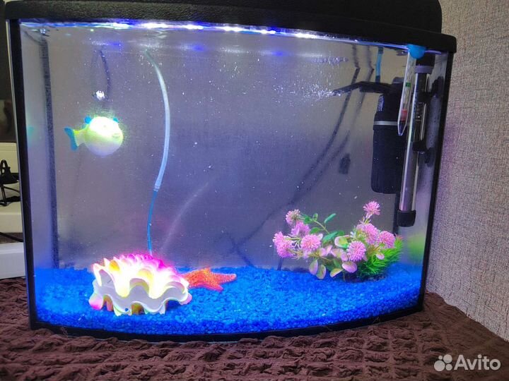 Аквариум