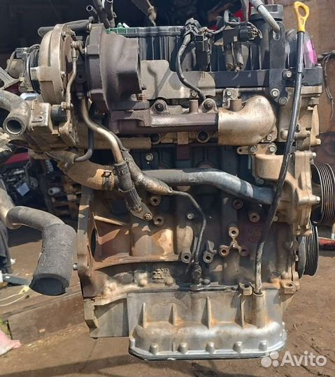 2301017 Двигатель Kia Sorento 2 2.2 Дизель D4HB