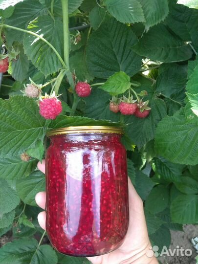 Домашние заготовки