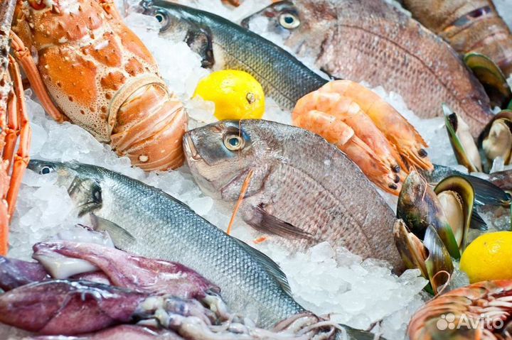 Продам прибыльный магазин рыбы и морепродуктов