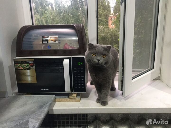Вязка шотландец