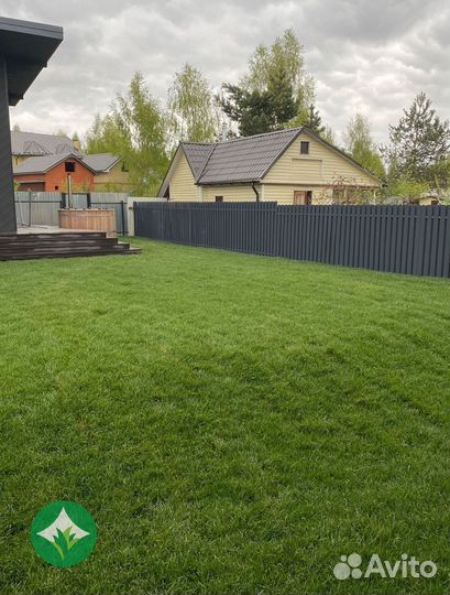 Рулонный газон с доставкой и укладкой