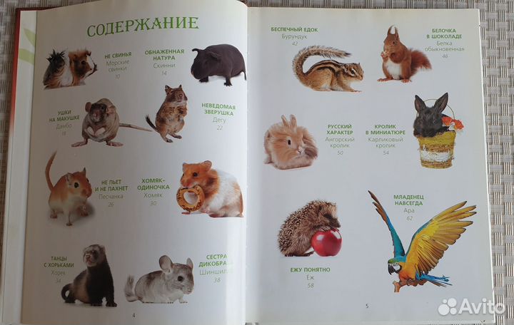 Книги про животных