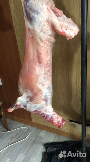 Мясо говядина баранина козлятино с доставкой