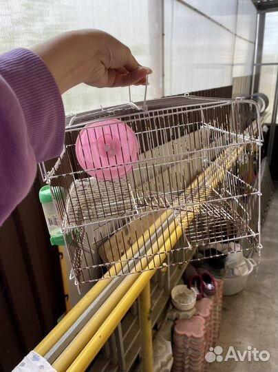 Клетка для хомяка