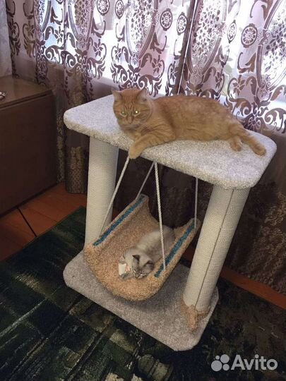 Когтеточка с домиком