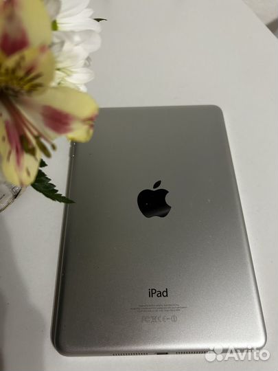 iPad mini 1