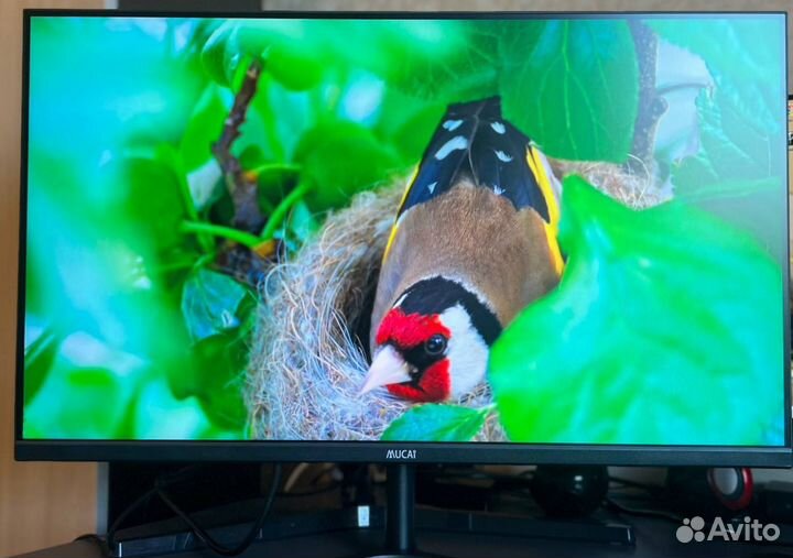 Монитор 144гц 165гц 200гц 27