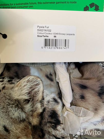 Molo pyxis snowy leopards 86