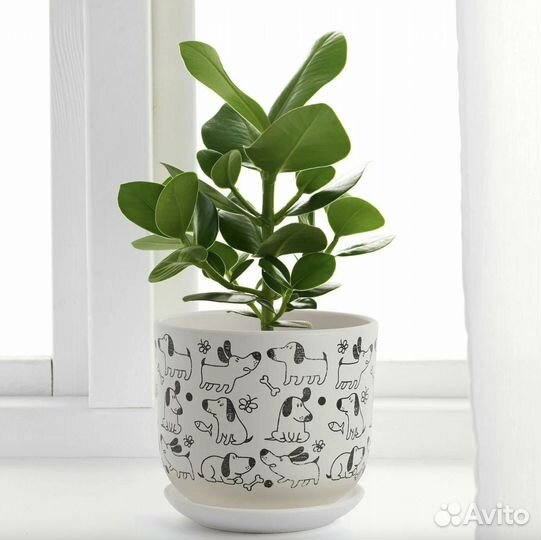 Цветочный горшок икеа рундминта собачки 15см