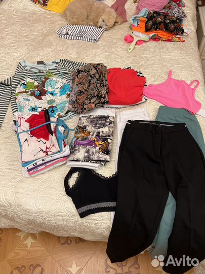 Вещи пакетом размер 40 XS (21 вещь