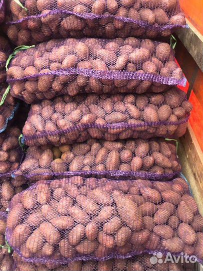 Продам картофель
