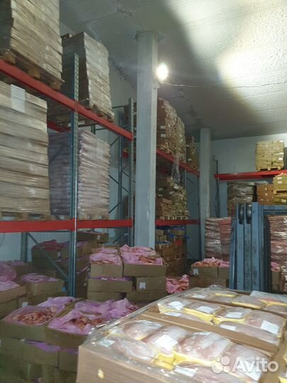 Мясо Курица, Свинина, Говядина, Баранина оптом