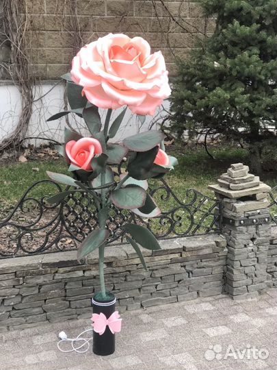 Розы ростовые