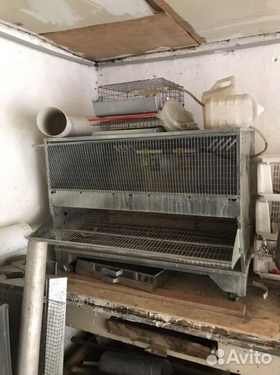 Клетки для кур