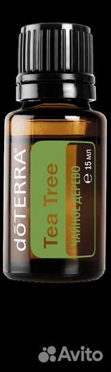 Эфирное масло чайного дерева