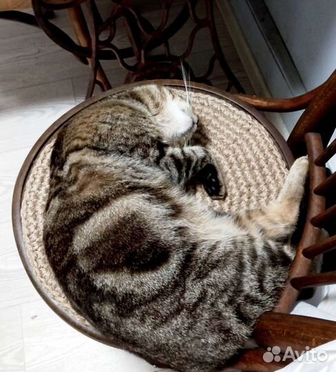 Подстилка на стул