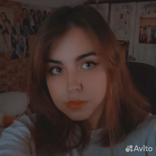 Репетитор по информатике