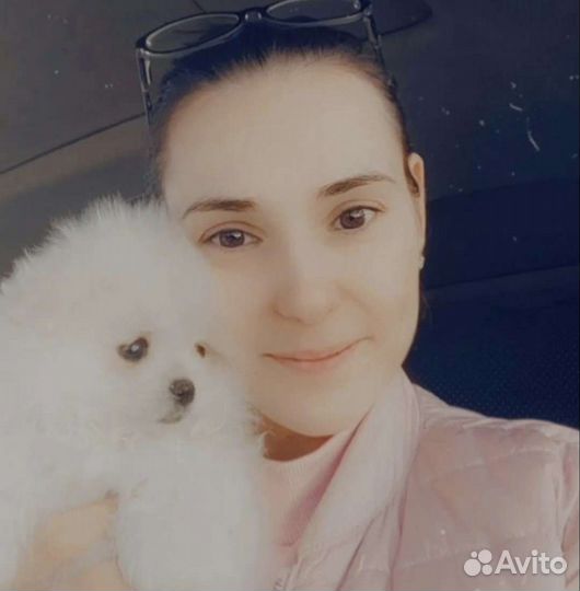 Перевозка животных зоотакси