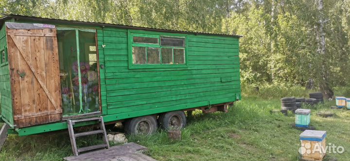 Продается пасека, бакфаст