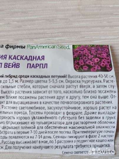 Петуния ампельная и каскадная