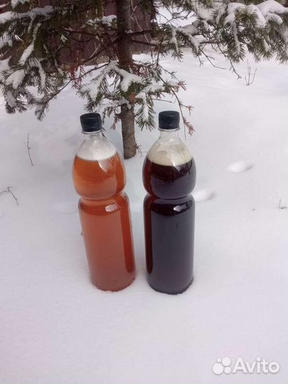 Домашнее безалкогольное пенное