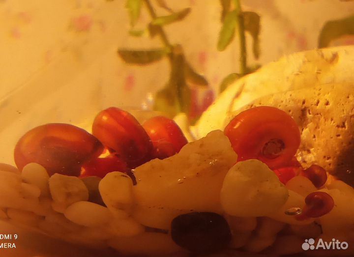 Улитка катушка декоративная красная