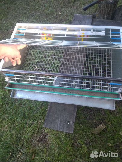 Клетки для перепелов бу