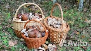 Свежие грибы (1л банка)