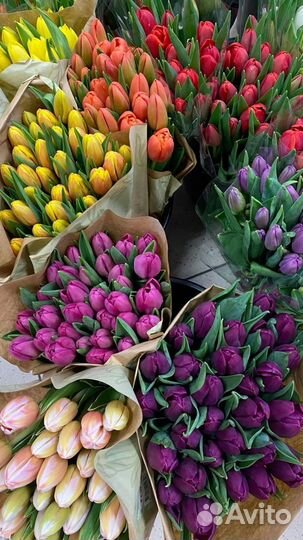 Тюльпаны к 8 марта розница/мелкий опт