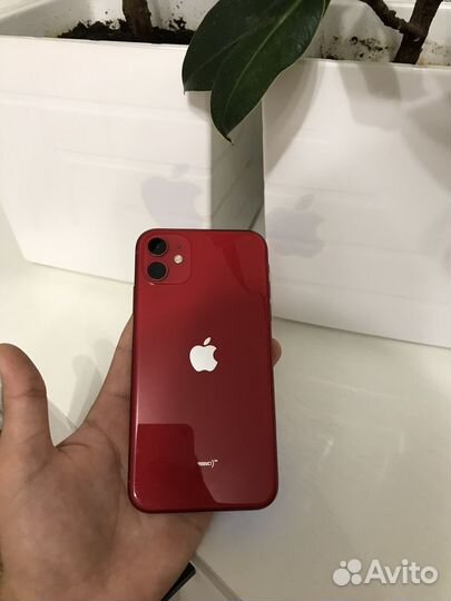 iPhone 11, 64 ГБ