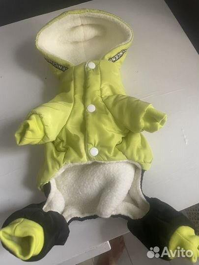 Костюм для животных