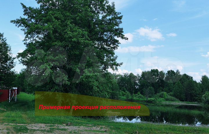 Участок 36,5 сот. (СНТ, ДНП)