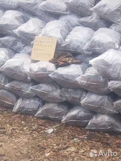 Кора продается