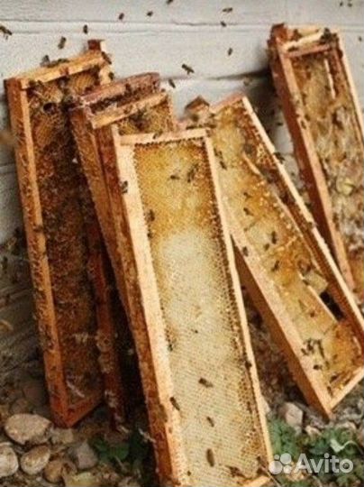 Продам ульи для пчел