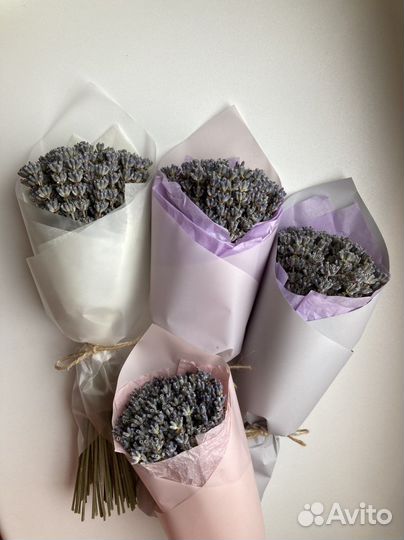Лаванда сухоцвет