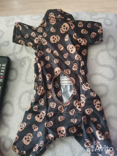 Дождевик и обувь для собаки