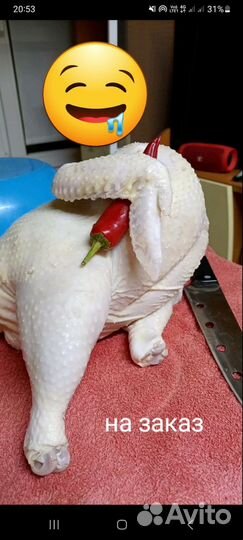 Мясо домашнего бройлера