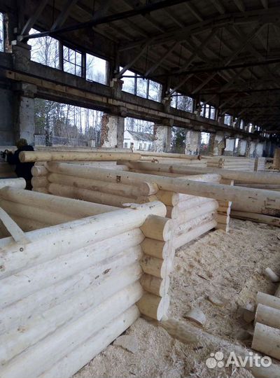 Срубы, бани, дома, на заказ