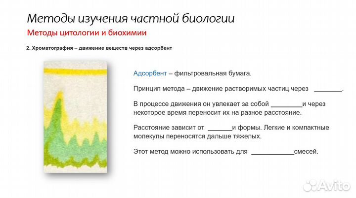 Твой репетитор по биологии егэ/огэ