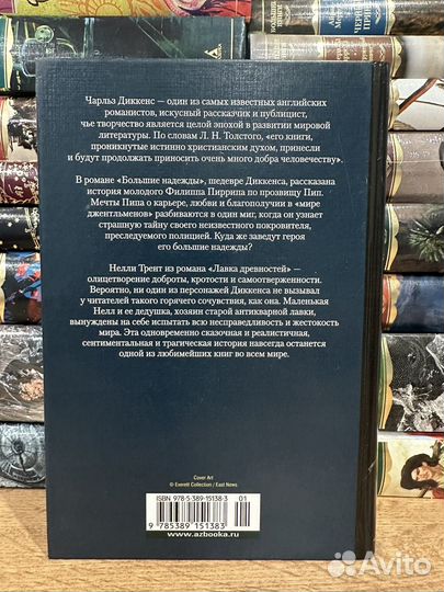 Ч. Диккенс - Большие надежды - Лавка древностей
