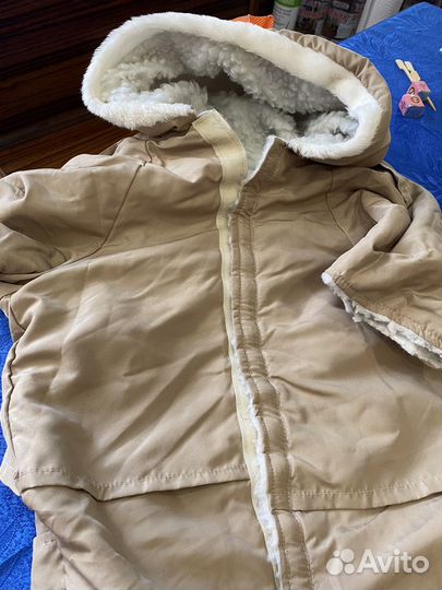 Попона для собак