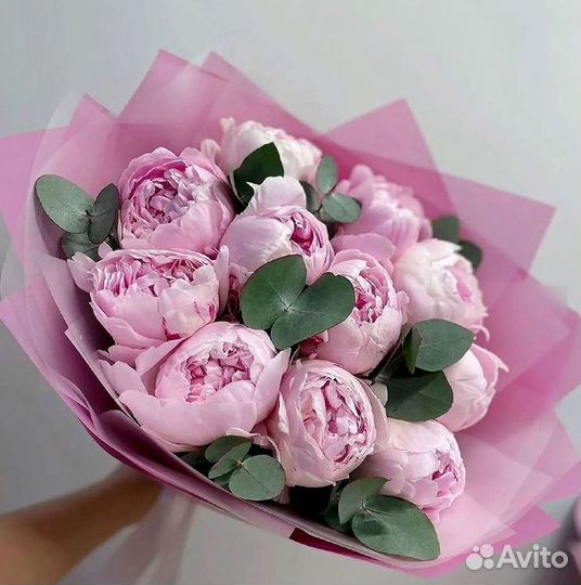 Пионы Букет