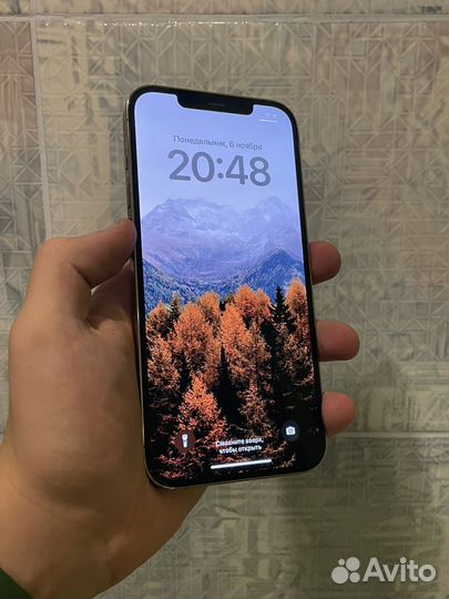 iPhone 12 Pro Max, 256 ГБ